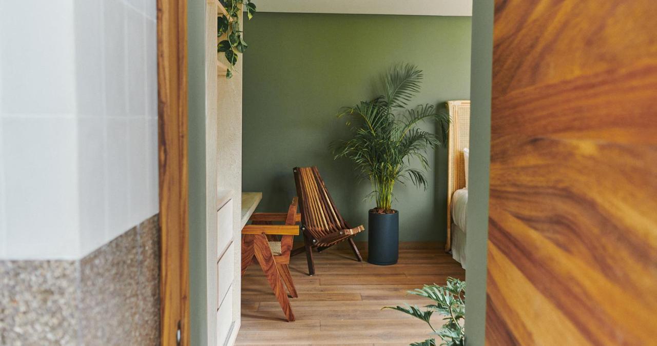 מלון מקסיקו סיטי Casa Izeba מראה חיצוני תמונה